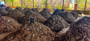 dry compost in hyderabad